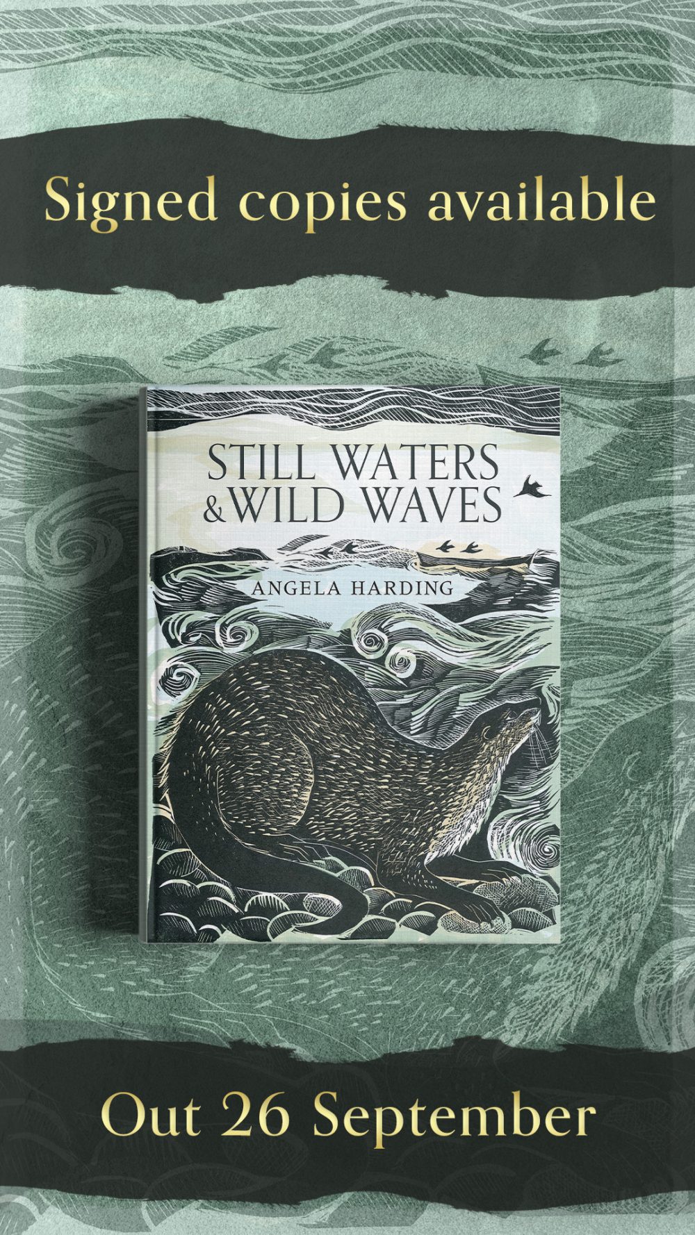 Still Waters and Wild waves angela harding
