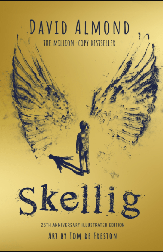 Skellig 25th Anniversary Edition